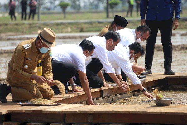 Dalam Kunker Jokowi, Kementan Pastikan Sagu dan Kelapa Terus Dikembangkan