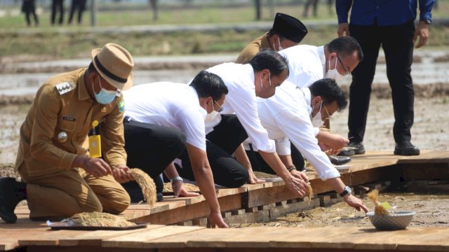 Dalam Kunker Jokowi, Kementan Pastikan Sagu dan Kelapa Terus Dikembangkan.