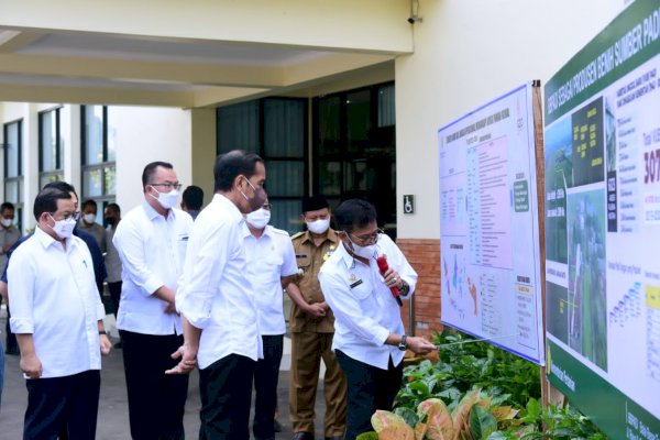 Jokowi Apresiasi Lompatan Kerja Kementan Dalam Produksi Benih Unggul Padi