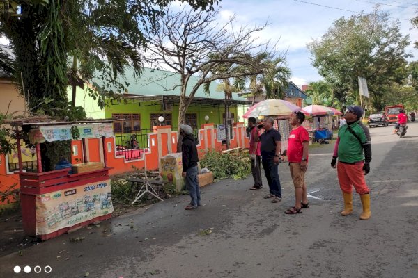 DLHK Palopo Antisipasi Pohon Tumbang Akibat Cuaca Buruk