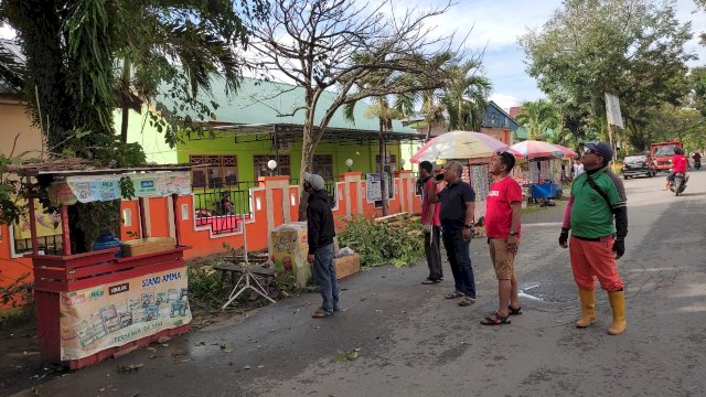 DLHK Palopo Antisipasi Pohon Tumbang Akibat Cuaca Buruk