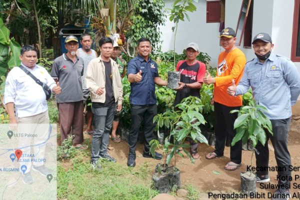 Bagikan 1.850 Bibit Alpukat, Legislator NasDem Palopo Harap Dibudidayakan dengan Baik