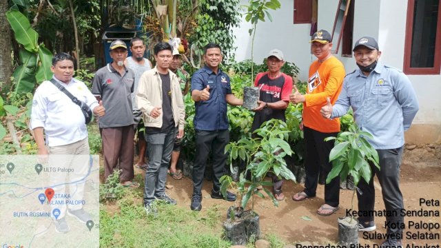 Bagikan 1.850 Bibit Alpukat, Legislator NasDem Palopo Harap Dibudidayakan dengan Baik