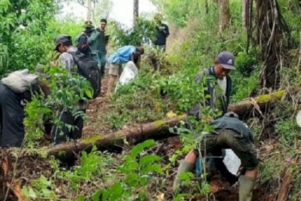 Heboh, Belasan Celana Dalam Pria dan Wanita Berserakan di Gunung Gede Pangrango