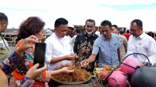 Bantaeng Punya Kebun Bibit Rumput Laut, Bakal Produksi Bibit Berkualitas