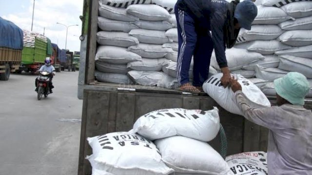 Pupuk NPK dan Urea Dinilai Tingkatkan Produktivitas Tanaman