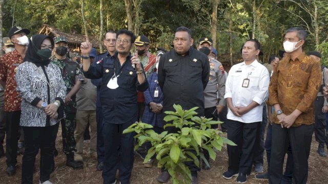 Kunjungi Sukoharjo, Mentan SYL Cek Persiapan Pengembangan Kelapa Genjah 1 Juta Batang