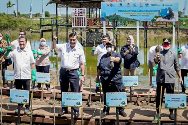 Menko Marves Tantang Gubernur Sulsel Tanam Mangrove 2 Kali Lipat, Luhur Binsar: Pak Andi Ini Paten