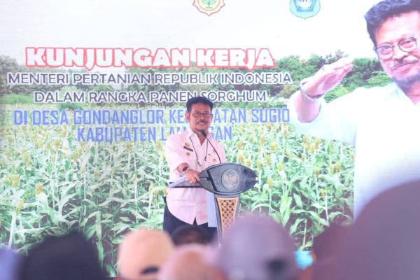 Mentan SYL Panen Sorgum di Kabupaten Lamongan