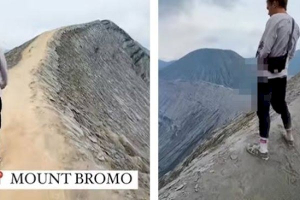 Viral Bule Kencingi Lereng Gunung Bromo