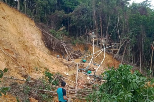 20 Penambang Emas Ilegal Tertimbun Longsor di Kalbar, 7 Orang Ditemukan Tewas