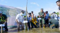 Bupati Yusran dan Yayasan Kalla Tanam 32.000 Bibit Mangrove di Tekolabbua Pangkep