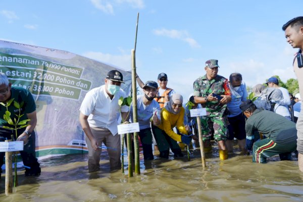 Bupati Yusran dan Yayasan Kalla Tanam 32.000 Bibit Mangrove di Tekolabbua Pangkep