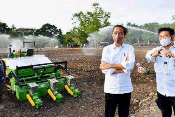 Mentan SYL Siap Laksanakan Perintah Presiden, Tanam Kedelai dan Perbesar Produksi Hortikultura