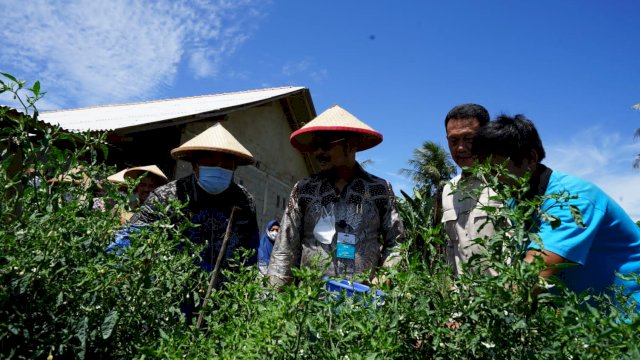 Menteri Pertanian, Syahrul Yasin Limpo, memimpin panen perdana Petani Milenial