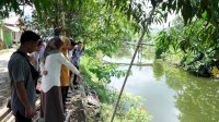 Ada Isu Pencemaran Lingkungan hingga Buat Masyarakat Gatal-gatal, Ini Reaksi Wabup Maros Suhartina Bohari