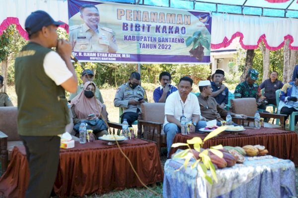 Dua Kecamatan di Bantaeng Berpotensi Produksi 3,2 ton Kakao per Bulan