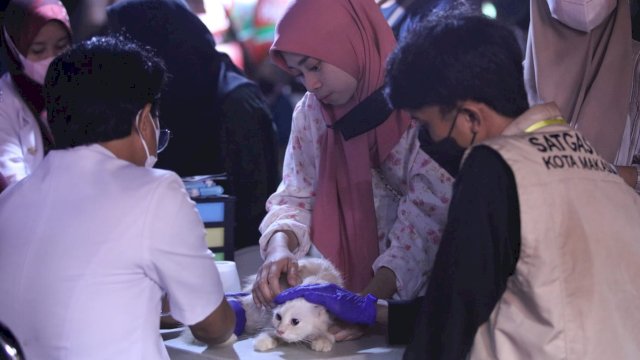 Animal Care Vaksin 160 Kucing dan Anjing di Makassar F8.