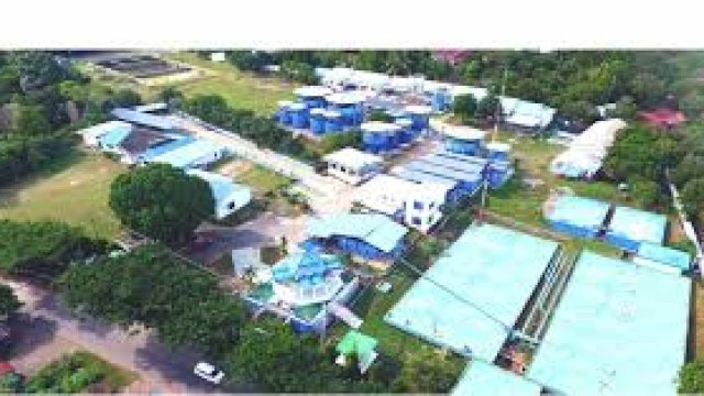 Meriahkan HUT RI ke-77, Perumda TM Palopo Akan Gelar Lomba antar Karyawan