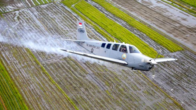 Ilustrasi Pesawat.(F-INT)