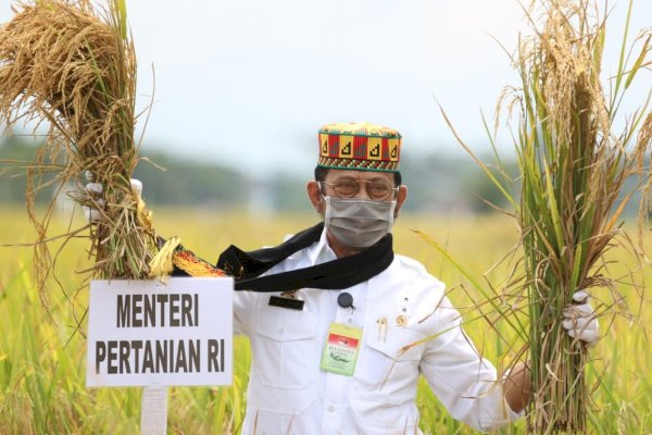 Mentan SYL Tegaskan Pasokan Beras Aman