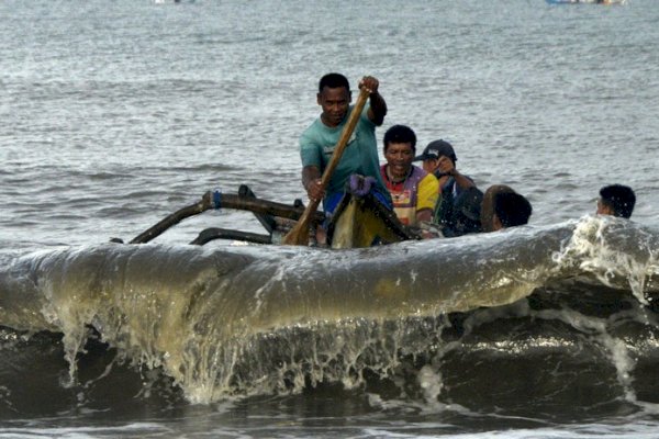 BMKG Ingatkan Potensi Gelombang Tinggi hingga 4 Meter di Sejumlah Perairan