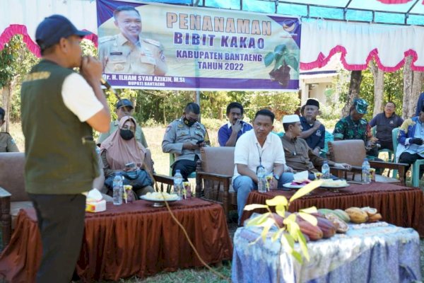 Dua Kecamatan Di Bantaeng Berpotensi Produksi 3,2 Ton Kakao Per Bulan