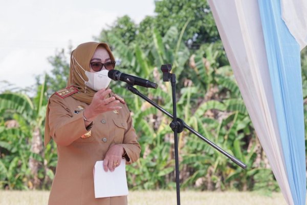 Tingkatkan Hasil Produksi, Pemkab Gowa Dorong Penggunaan Pupuk Organik ke Petani