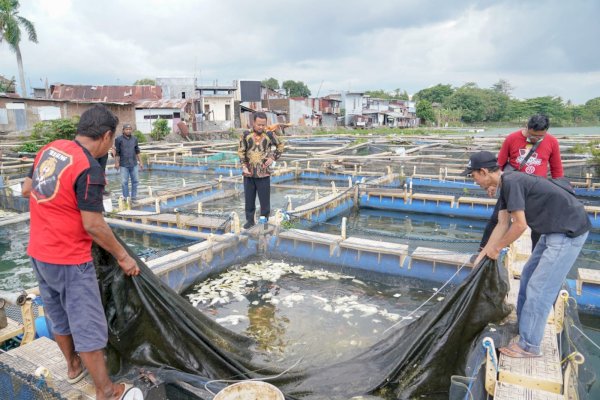 Atasi Harga Makanan Ikan Semakin Tinggi, Pembudidaya Minta Mesin Pembuat Pakan