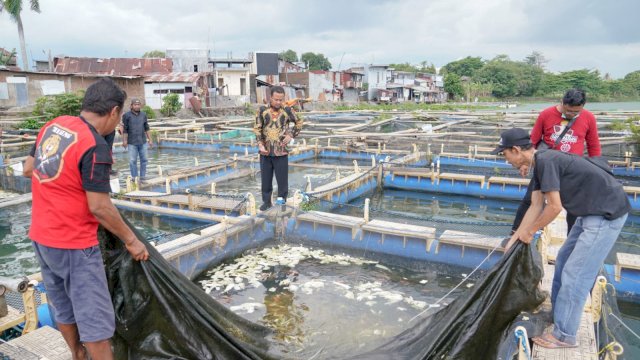 Gubernur Sulsel, Andi Sudirman Sulaiman Meninjau Keramba Apung di Balang Baru Makassar.