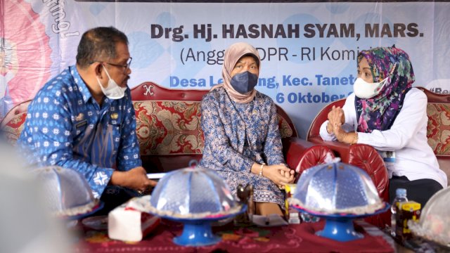 Anggota Komisi IX DPR RI, Drg. Hj. Hasnah Syam