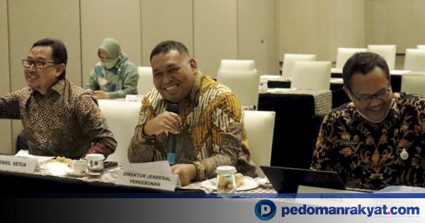 Akselerasi Pembangunan Perkebunan, Kementan Lakukan Pelepasan Varietas