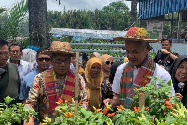 Camat Panakkukang Dampingi Ganjar Pranowo &#038; Danny Pomanto Panen Cabai dan Ikan Nila