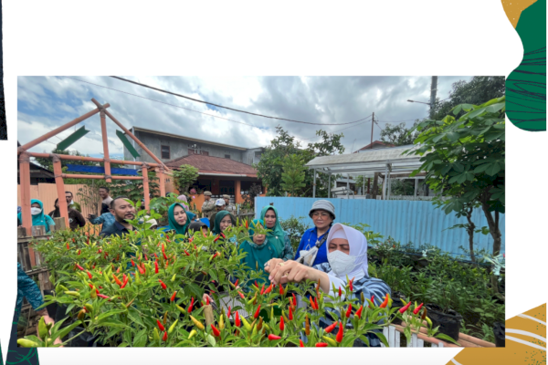 Ketua TP PKK Makassar Indira, Kunjungi Lorong PKK Kelurahan Tello Baru