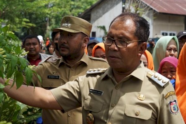 Wali Kota Makassar Didampingi Camat Panakkukang Kunjungi Lorong Wisata Sydney