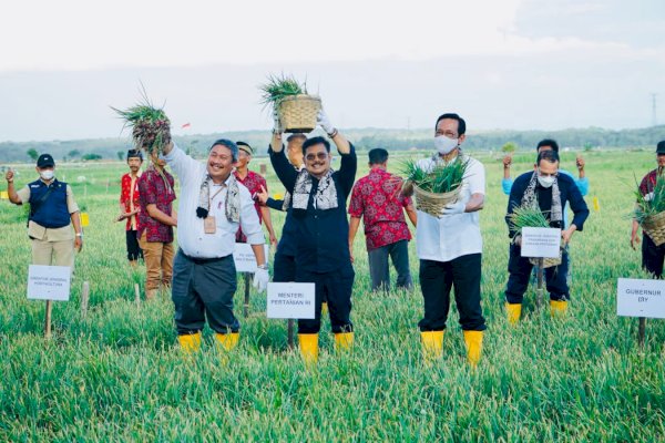 Momen Hari Tani, Mentan Ajak Sri Sultan HB X Kolaborasi Pengembangan Pertanian