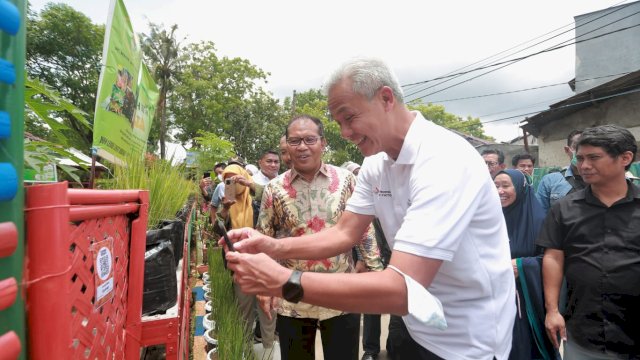 Danny Pomanto-Ganjar Panen Cabai dan Ikan Nila di Lorong Wisata Sydney.(F-Humas)