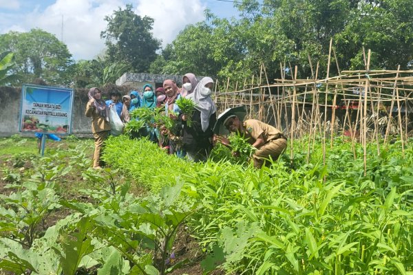 Taman Wisata Gizi Kecamatan Pattalassang Takalar Panen Perdana