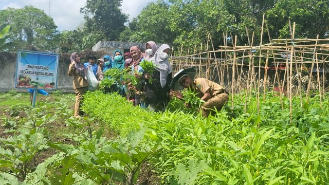 Taman Wisata Gizi Kecamatan Pattalassang Takalar Panen Perdana.