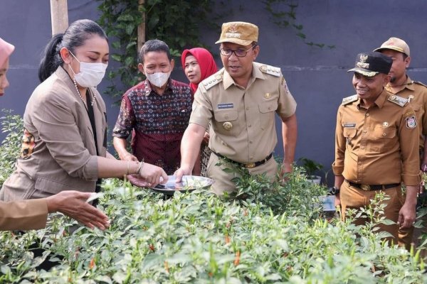 Wali kota Makassar Danny Pomanto Kunjungi Lorong Wisata Zurich Tamalanrea