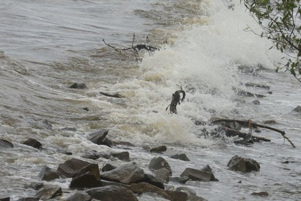 Hati-hati, BMKG Prediksi Gelombang Setinggi 4 Meter di Mentawai