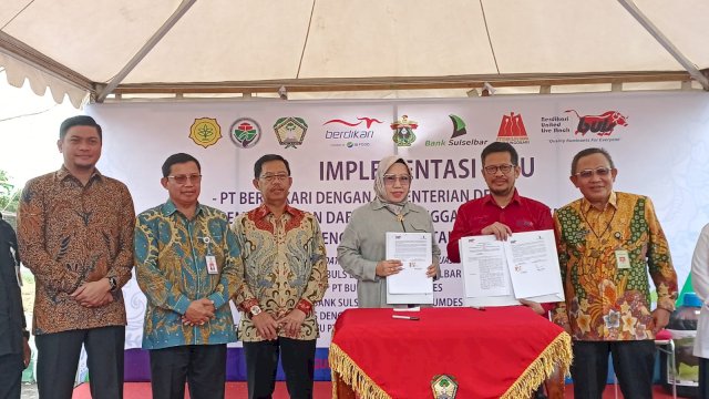 Bank Sulselbar, PT BULS dan BUMDes Gowa Bantu UMKM serta Pemeliharaan-Pengembangan Sapi