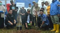 Diselimuti Kabut, Gubernur Andi Sudirman Tanam Bibit Kopi Bareng Warga Gowa di Topidi