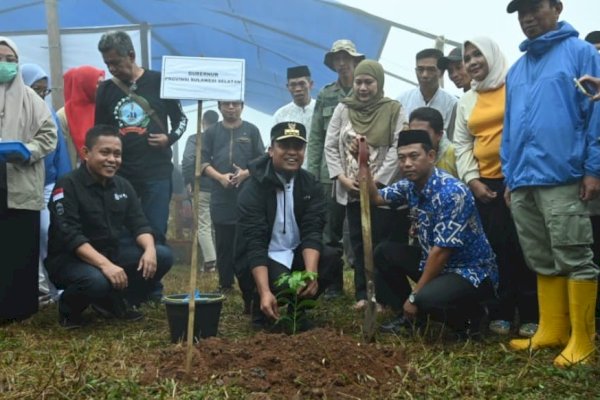 Diselimuti Kabut, Gubernur Andi Sudirman Tanam Bibit Kopi Bareng Warga Gowa di Topidi