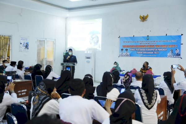 Pemkab Pangkep Subsidi Biaya Asuransi Pertanian, Lindungi Petani dari Kerugian