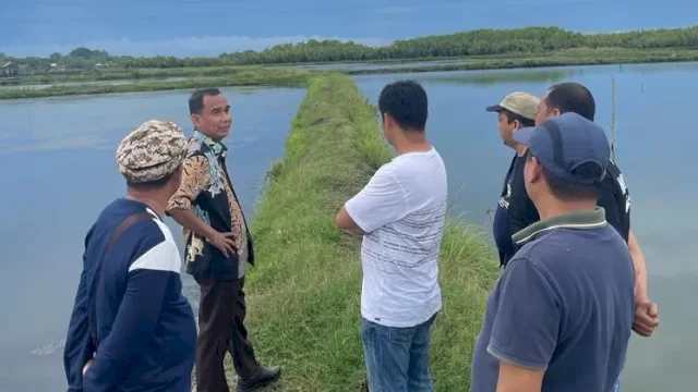 Kujungi Dapil, Ketua DPRD Makassar Rudianto Lallo Tinjau Pembangunan Jalan Lingkungan