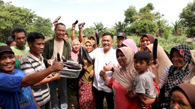 Pertanian Terong Ungu di Bantaeng Terus Berkembang