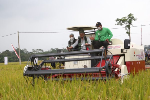 Mentan SYL Panen Padi Aplikasi Biosaka di Blitar, Produktivitas 8,9 Ton