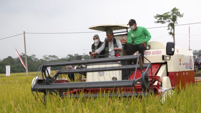 Menteri Pertanian Syahrul Yasin Limpo, Bersama Bupati Blitar, Rini Syarifah Panen Padi Aplikasi Biosaka di Desa Tegalrejo