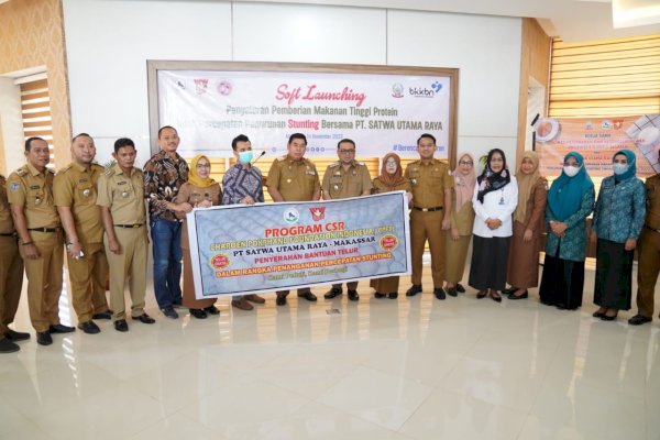 Sulsel Jadi Provinsi Tercepat Bentuk Tim Penurunan Sunting